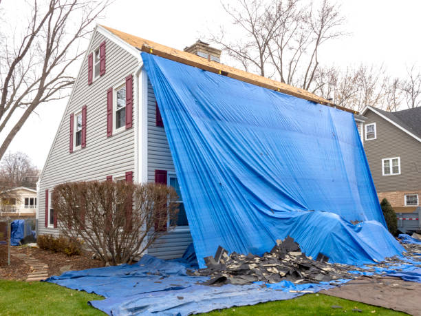 Best Furniture Removal  in Round Lake Beach, IL