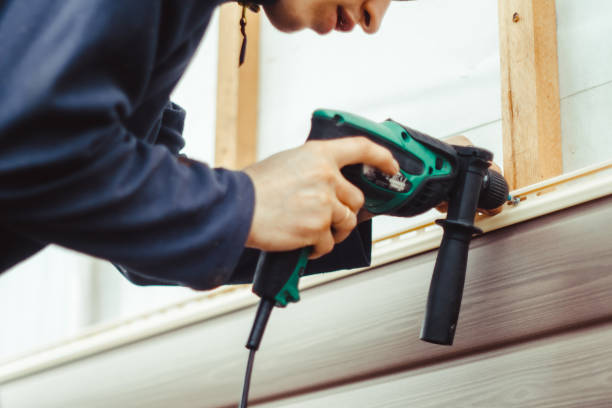 Best Shed Removal  in Round Lake Beach, IL